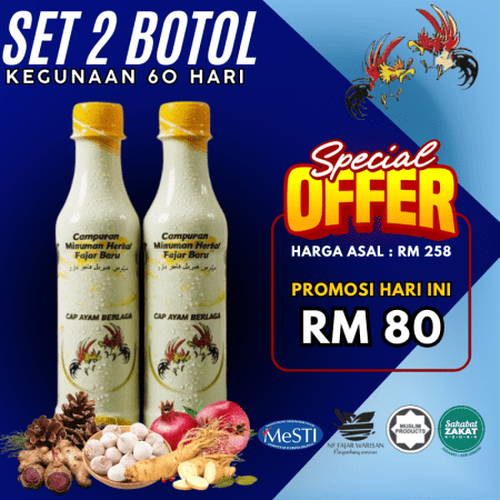 2 tonik ayam berlaga